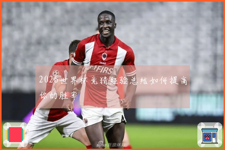 2026世界杯竞猜经验总结如何提高你的胜率